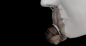 1000 Robota - Er sagt