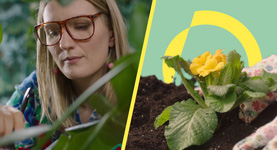 Open Hamburg Campaign