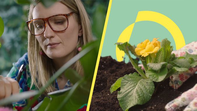 OpenHH_Blumen_03_Slider